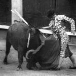 Luis Reina en Madrid dando un trincherazo a un santacoloma
